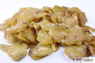 新荷花品牌中藥飲片 助力醫藥精英成功轉型的可靠伙伴