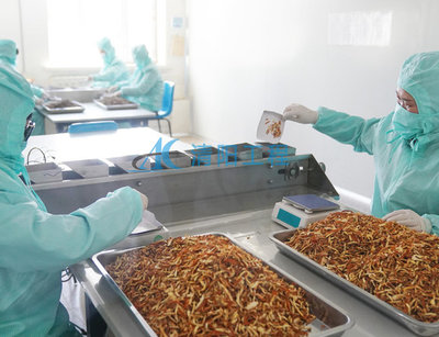 建設GMP中藥飲片車間的成本分析與清陽工程的重要性