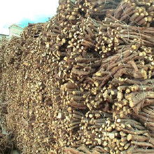 甘草中藥飲片 價格、批發與廠家全解析