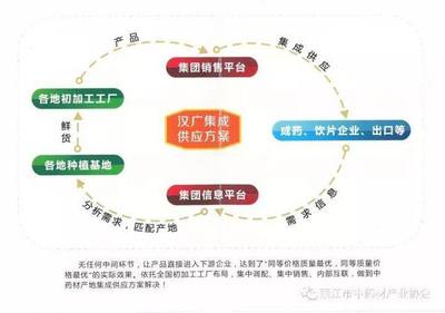 漢廣得瑞啟新程，麗江基地助騰飛——得一集團中藥飲片板塊再添強勁新翼